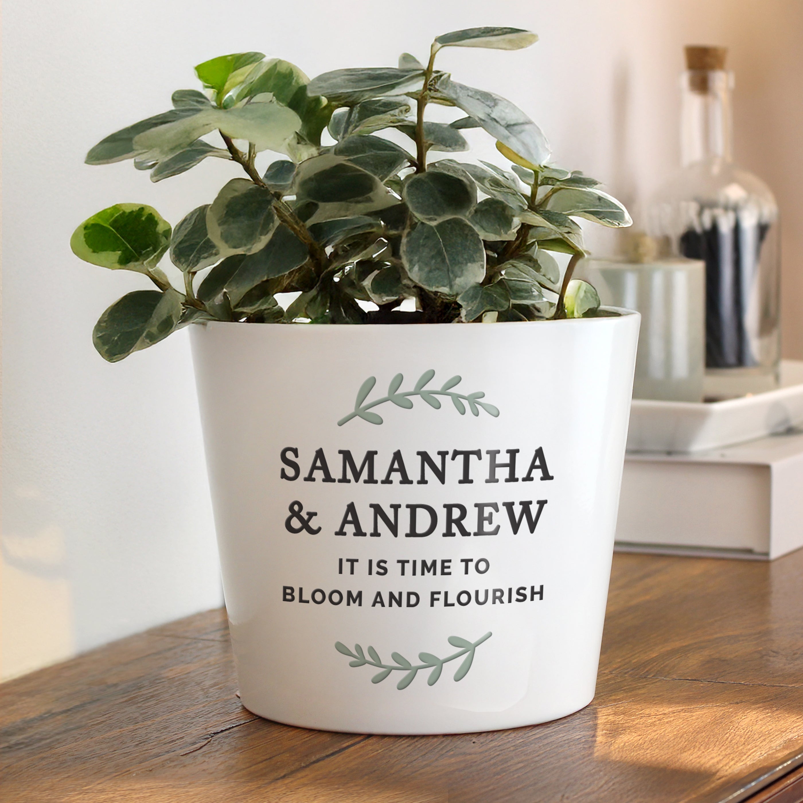 Potted plant with personalised message on a wooden surface