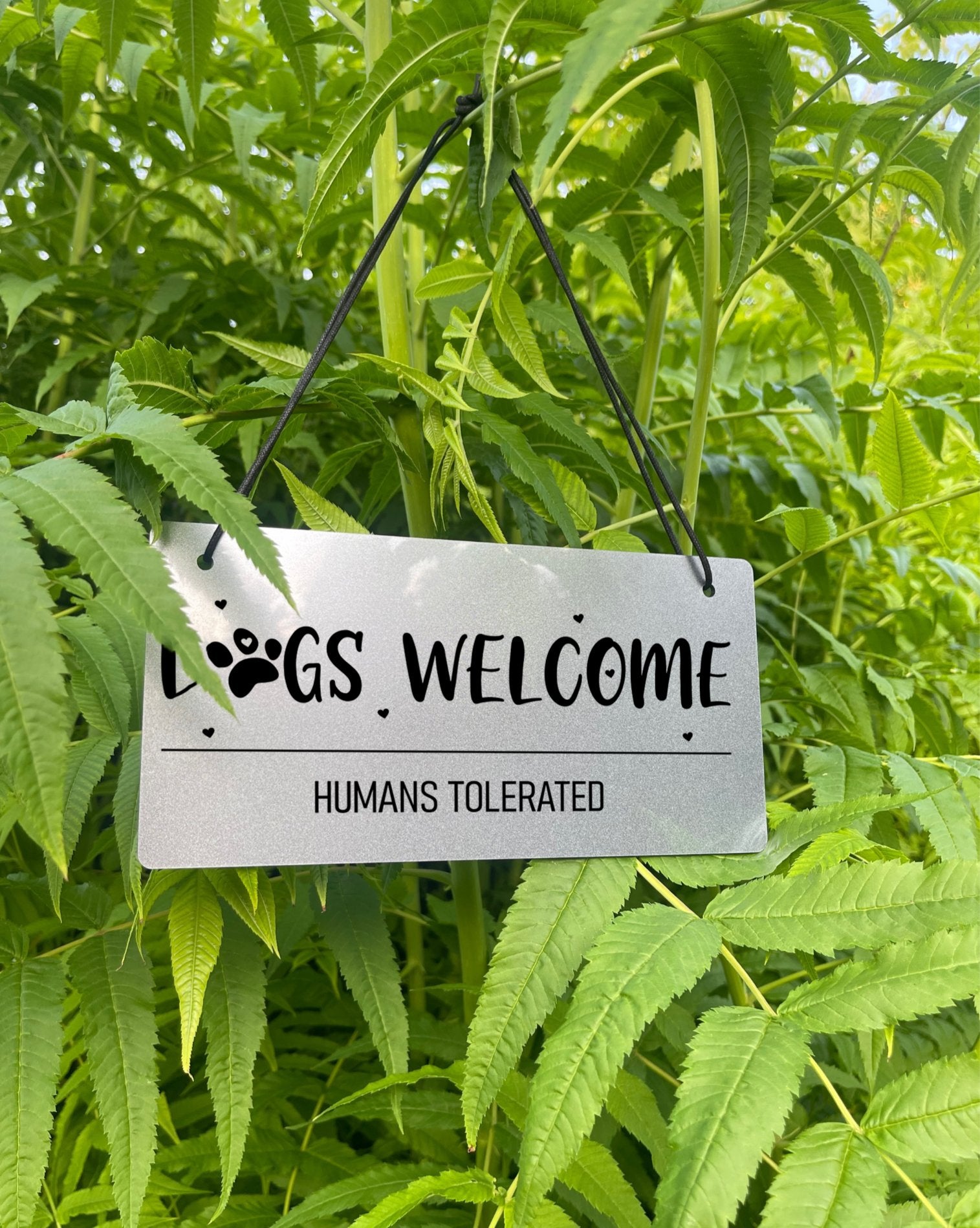 Cheeky sign with engraved text, expressing a preference for dogs over people, perfect for dog lovers and adding a touch of humor to any space.