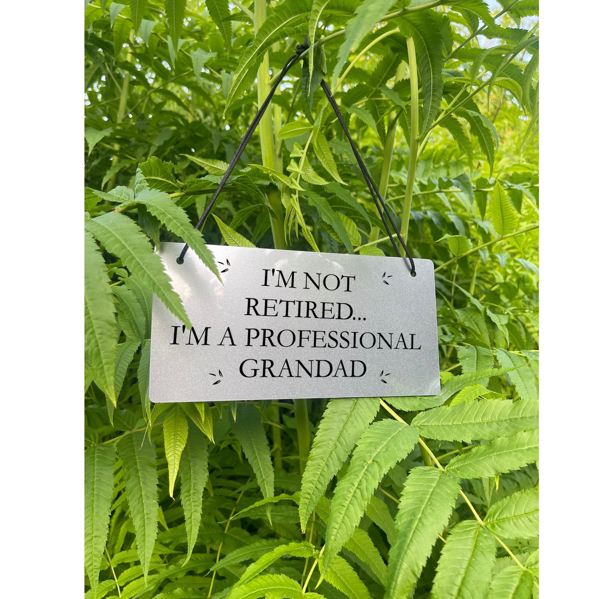 A close-up of the "Professional Grandad" sign, highlighting the message and the quality of the engraving.