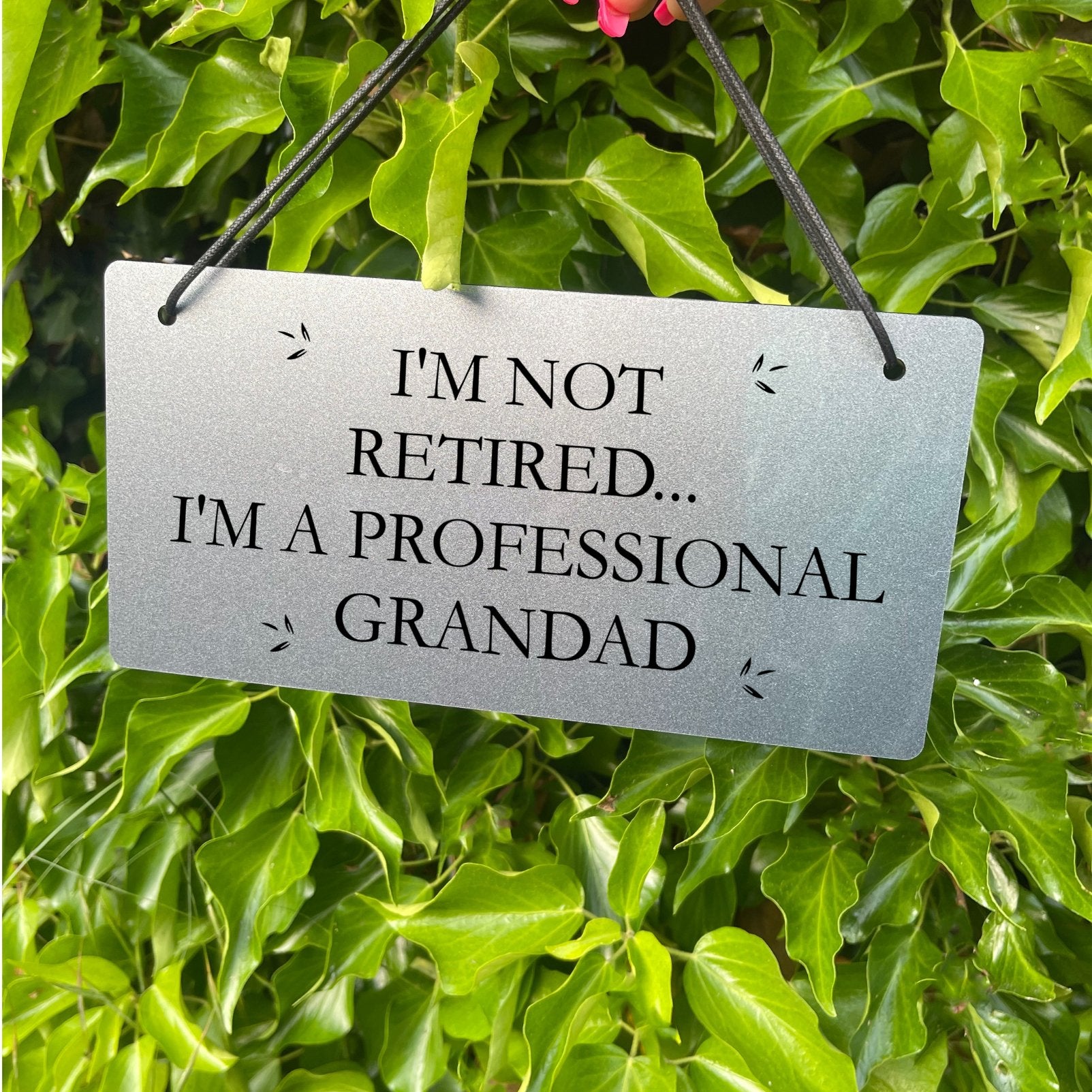 The "I Am a Professional Grandad" sign hanging outside, showing its scale and style.