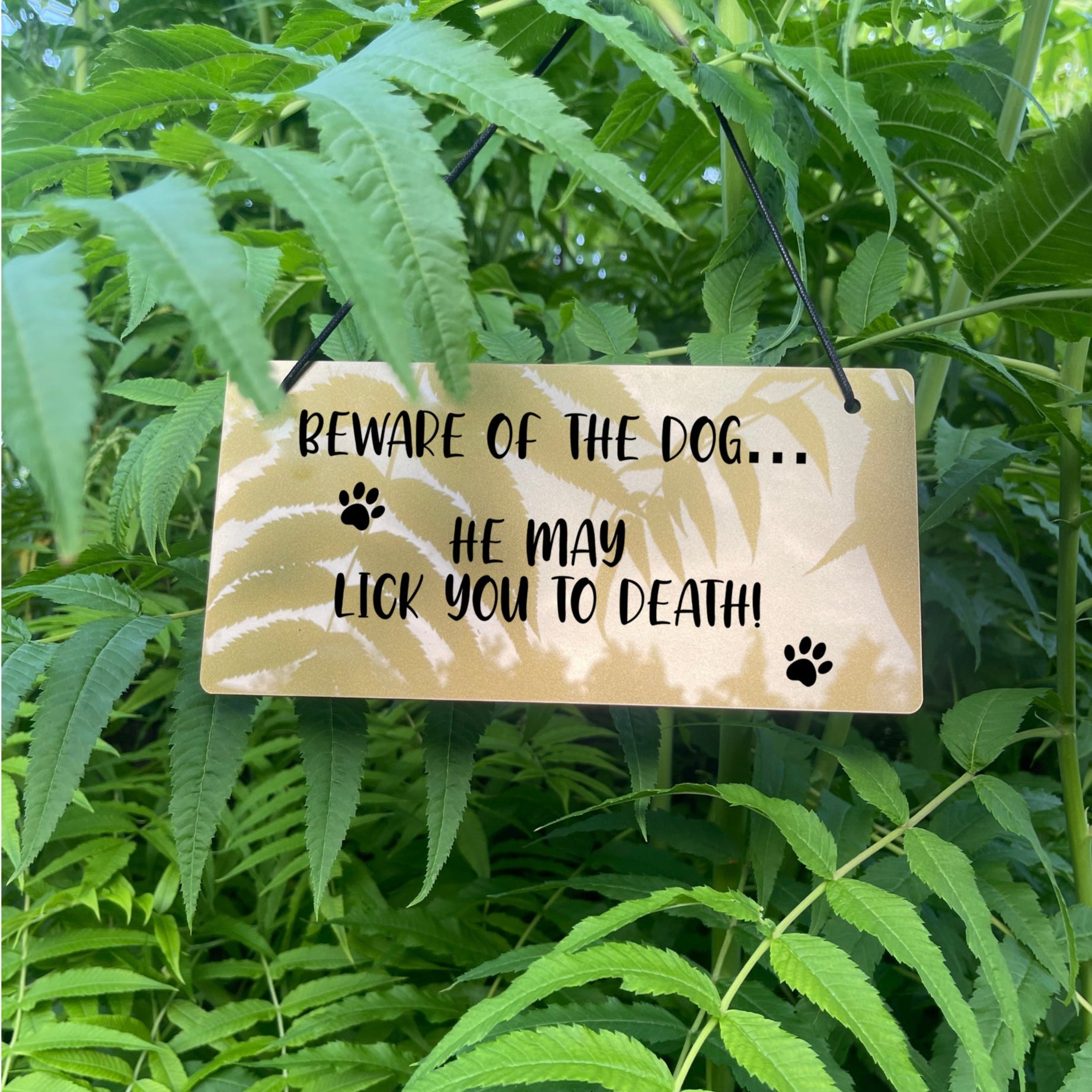 A funny "Beware of the Dog - He May Lick You to Death" sign in a gold finish.