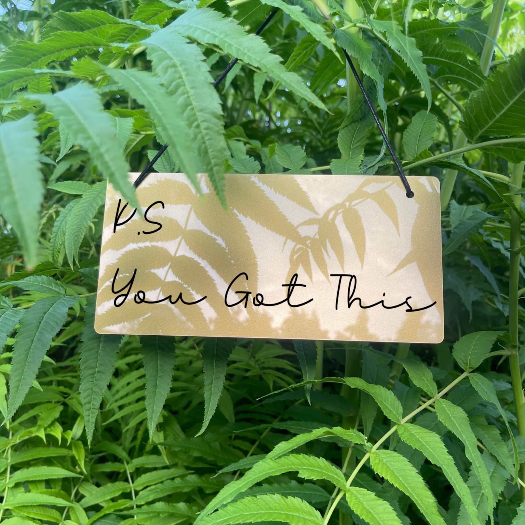Laser-engraved acrylic sign with the empowering message 'P.S. You Got This'.