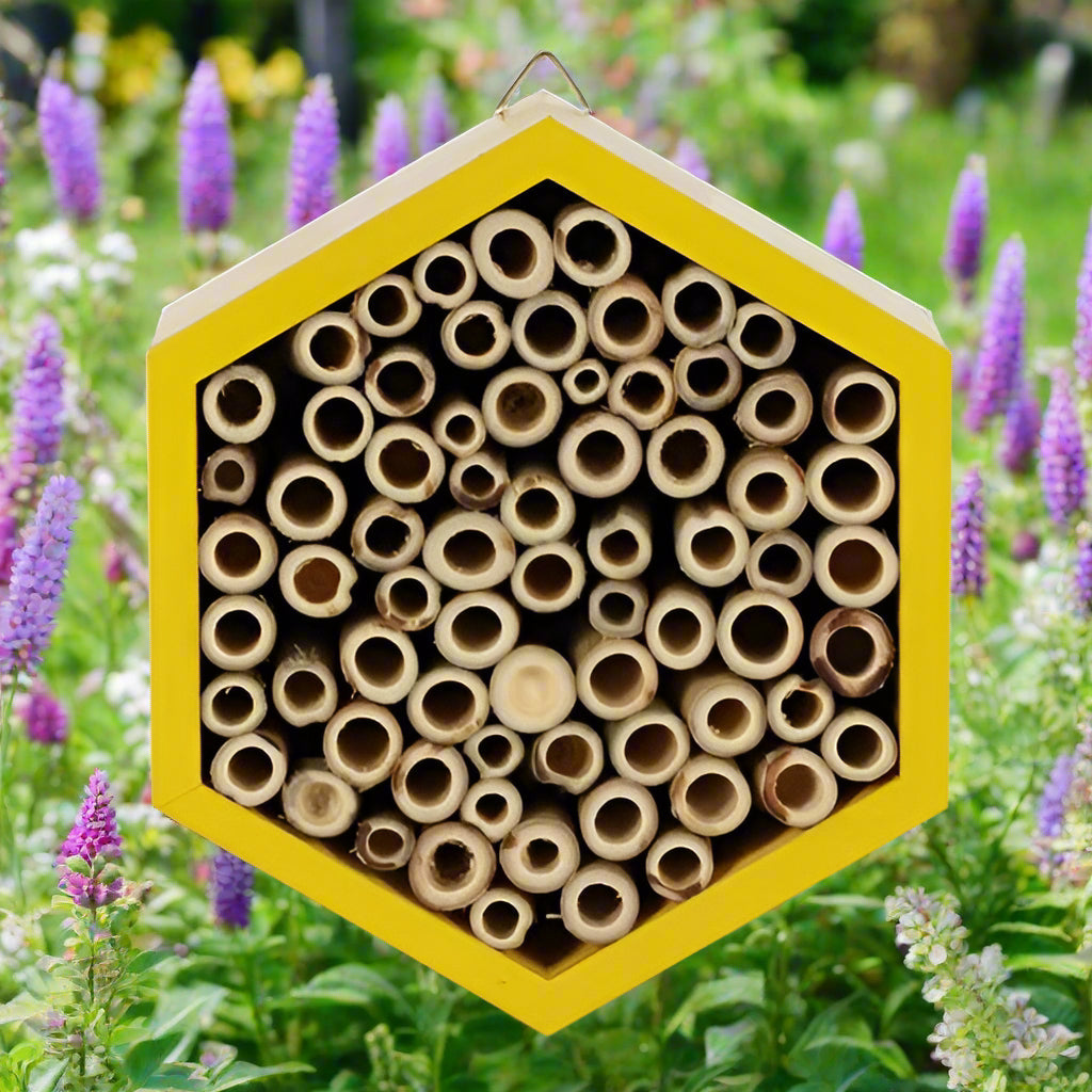 Bee hive - bee gift collection image 