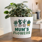 Potted plant in a white pot with 'Mum's Flowers' text on a wooden surface.