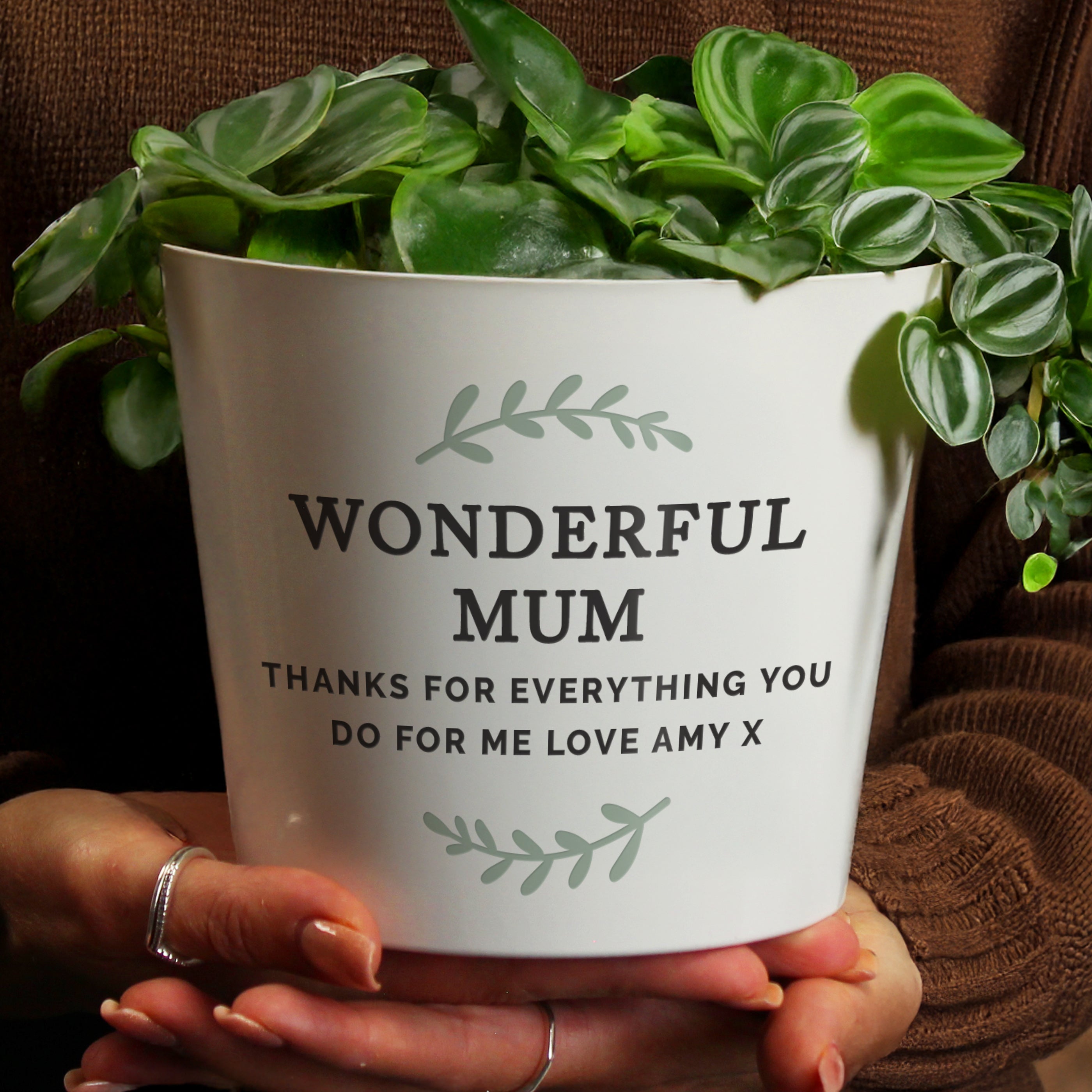 White pot with green plant held by hands, containing a message for 'Wonderful Mum'.