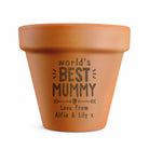 Terracotta pot with 'world's best mummy' engraving on a white background