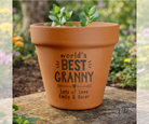 Terracotta pot with 'world's best granny' text and plant on a wooden surface