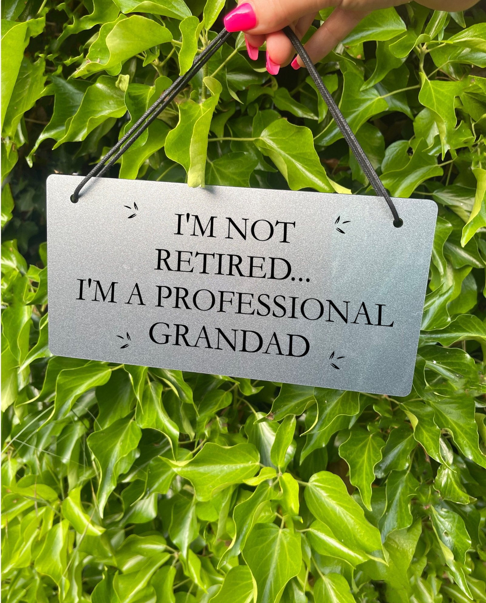 The "I Am a Professional Grandad" sign hanging outside, showing its scale and style.