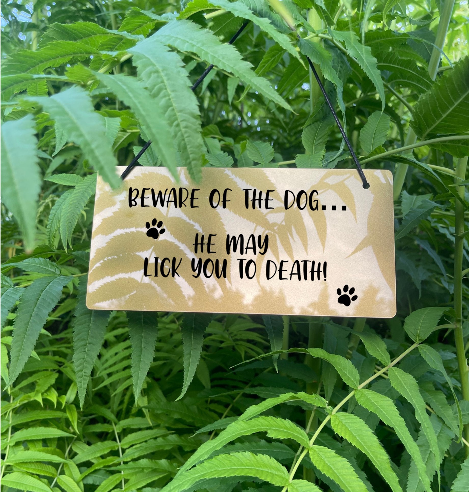 A funny "Beware of the Dog - He May Lick You to Death" sign in a gold finish.