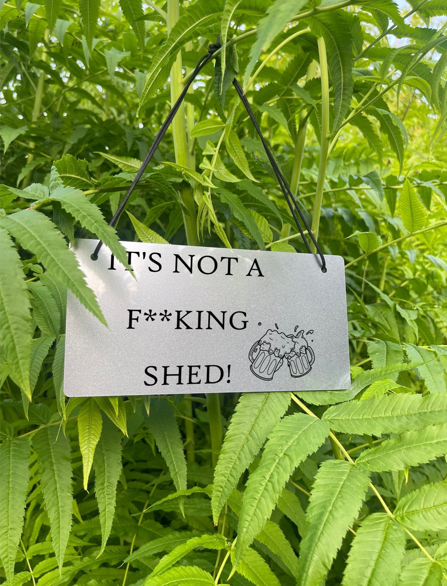 Humorous acrylic sign, measuring 220X110mm, showcasing the message 'IT'S NOT A F**KING SHED' and a beer glasses design, available in gold or silver.